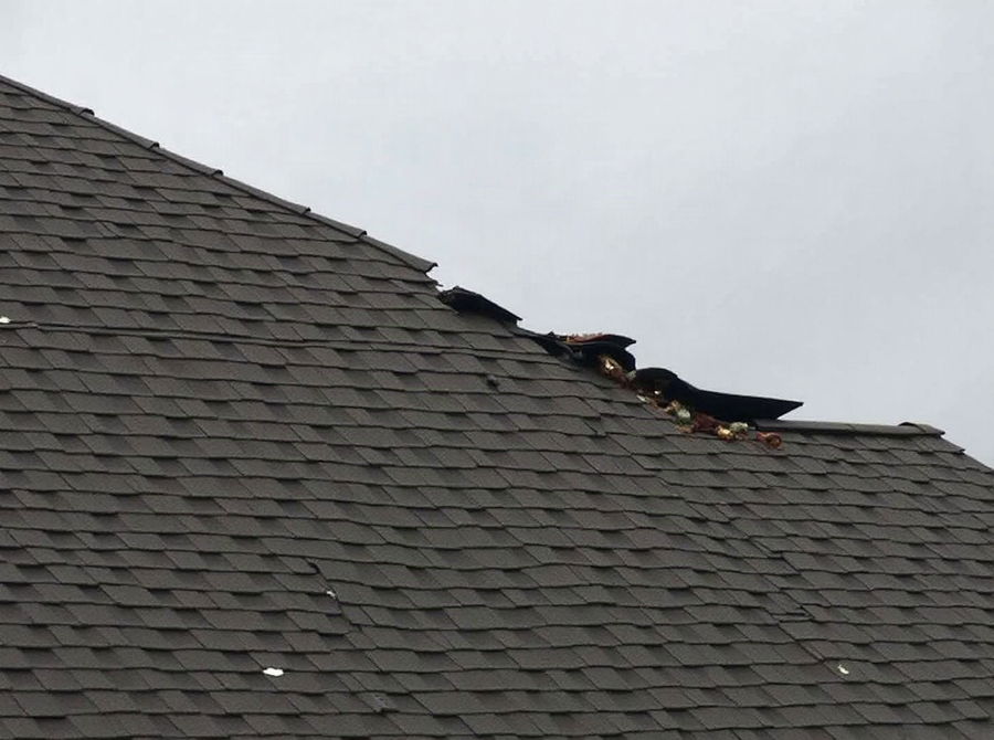 Asphalt shingles lifted and creased along a roof slope after high wind